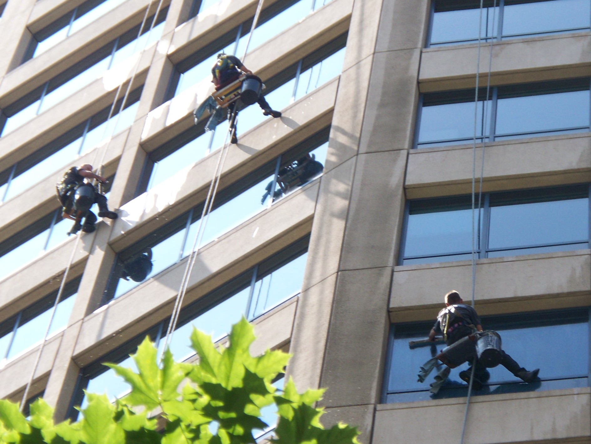 Commercial Window Installation Services